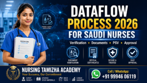 DataFlow Process for Saudi Nurses